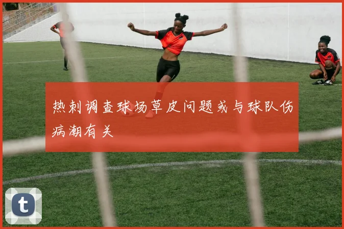 热刺调查球场草皮问题或与球队伤病潮有关